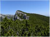 Planina Dol - Rzenik